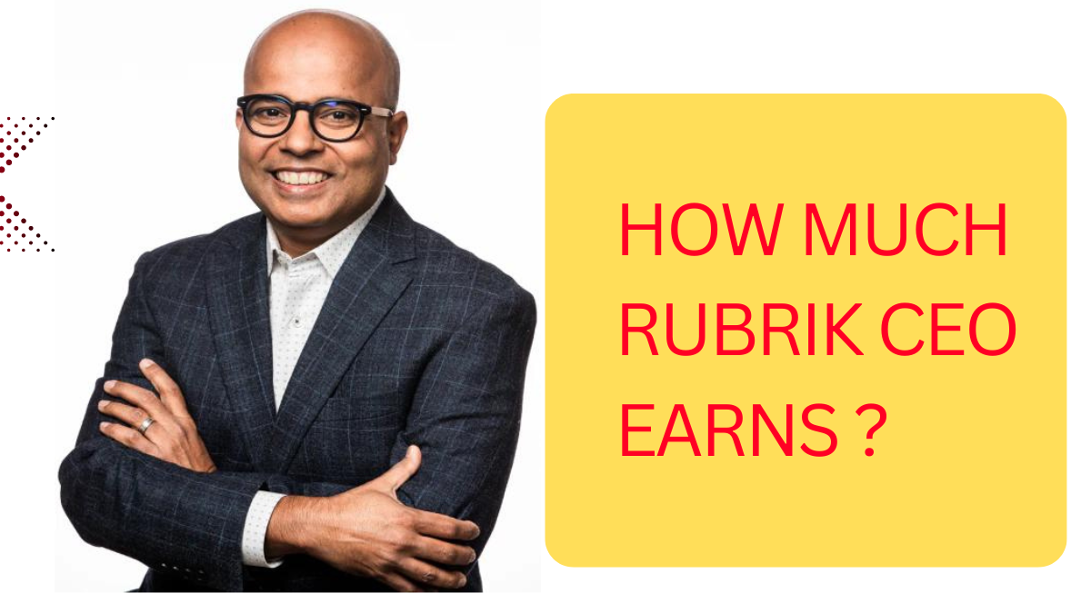 How much Rubrik CEO earns per year